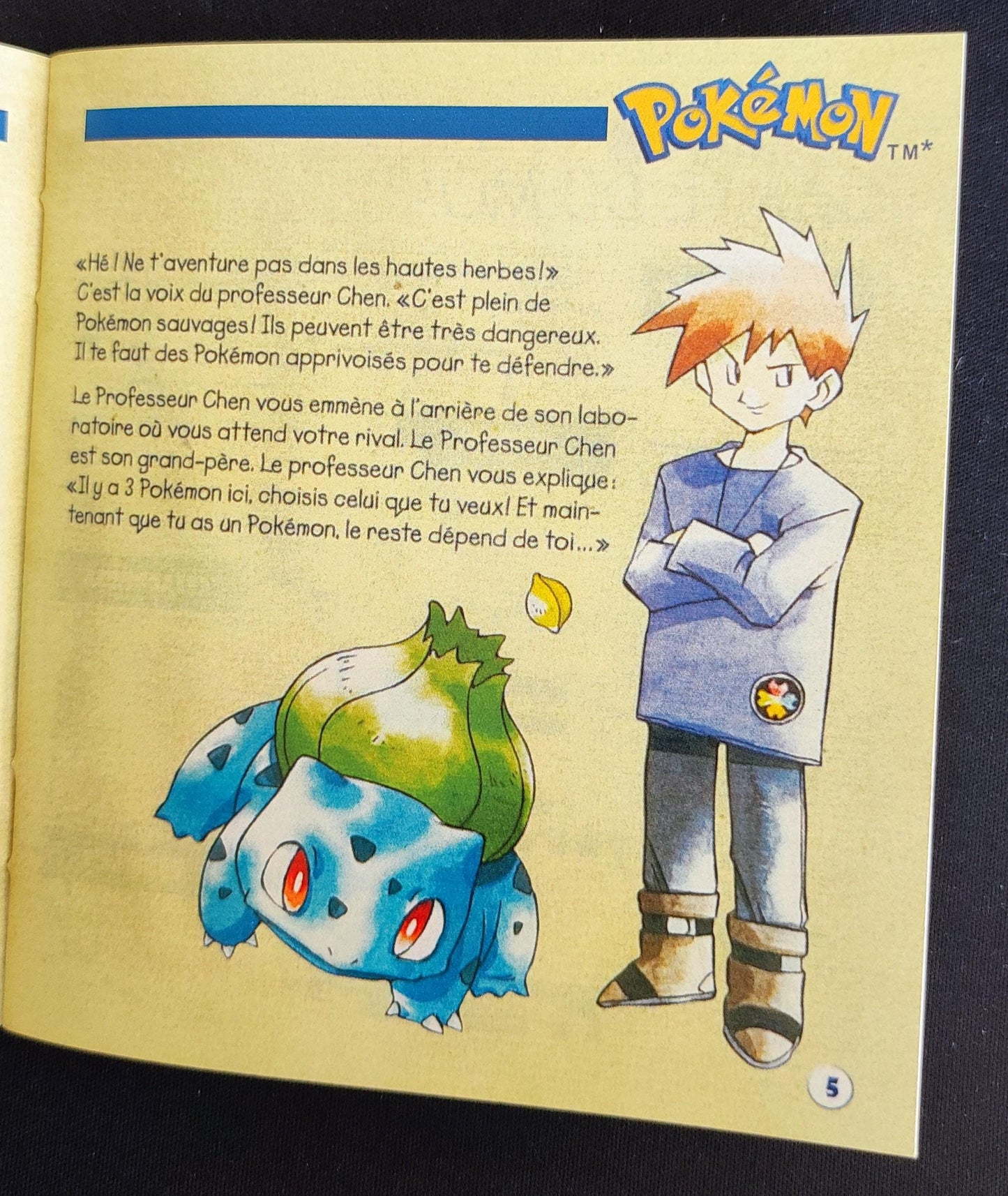 Notice Pokemon Rouge et Bleu - Game Boy - Français -