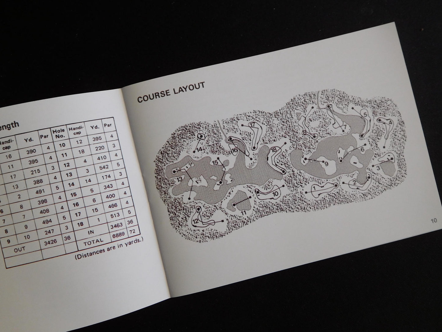 Notice Golf - ASD - NES - Français/Anglais -