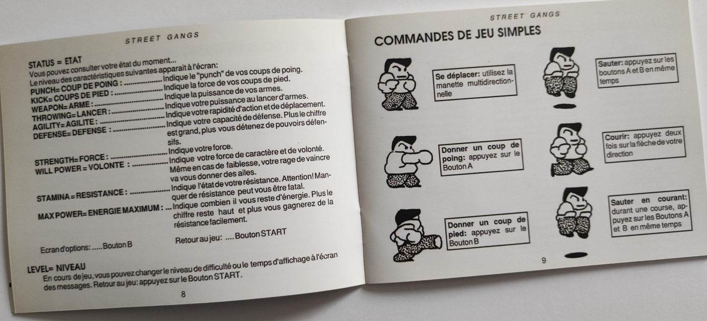 Notice Street Gangs NES - Français -