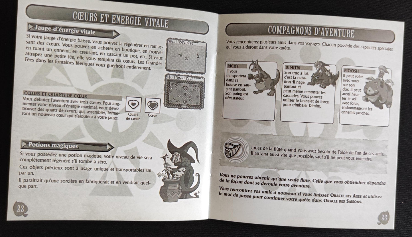 Notice The Legend of Zelda: Oracle of Ages - Game Boy - Français