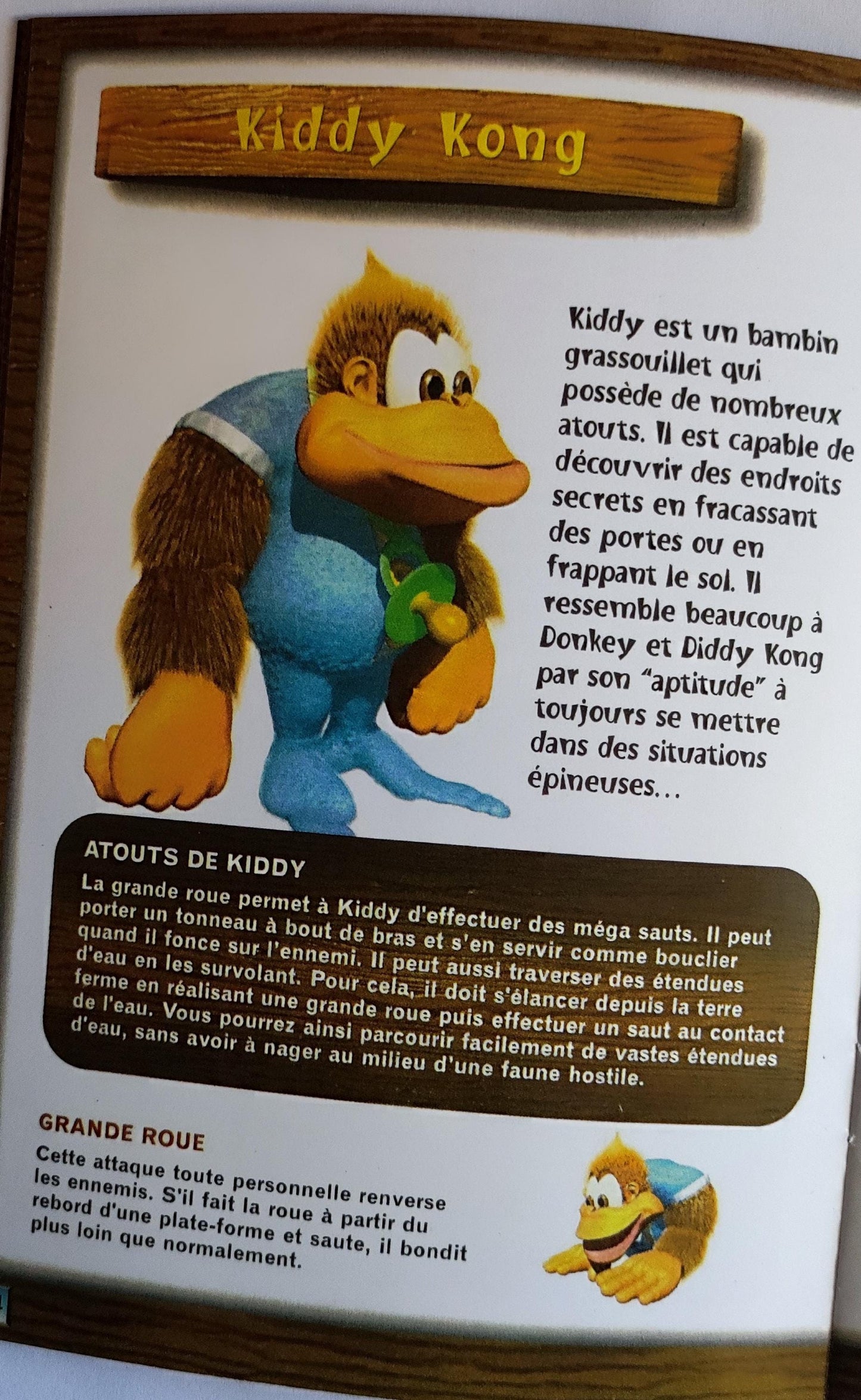 Notice Donkey Kong Country 3: Dixie Kong's Double Trouble! SNES - Français -