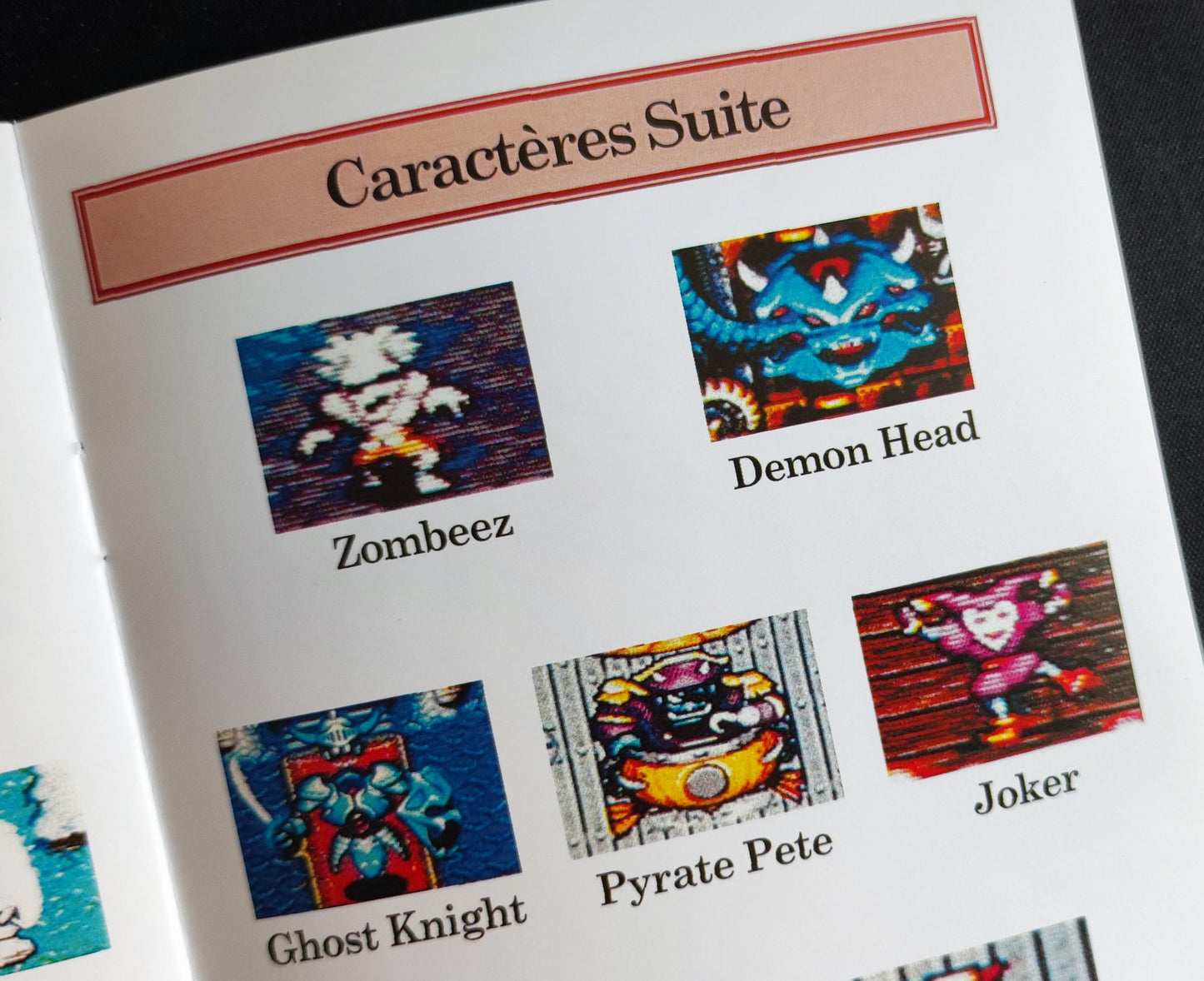 Notice Pocky & Rocky  - SNES - Français -