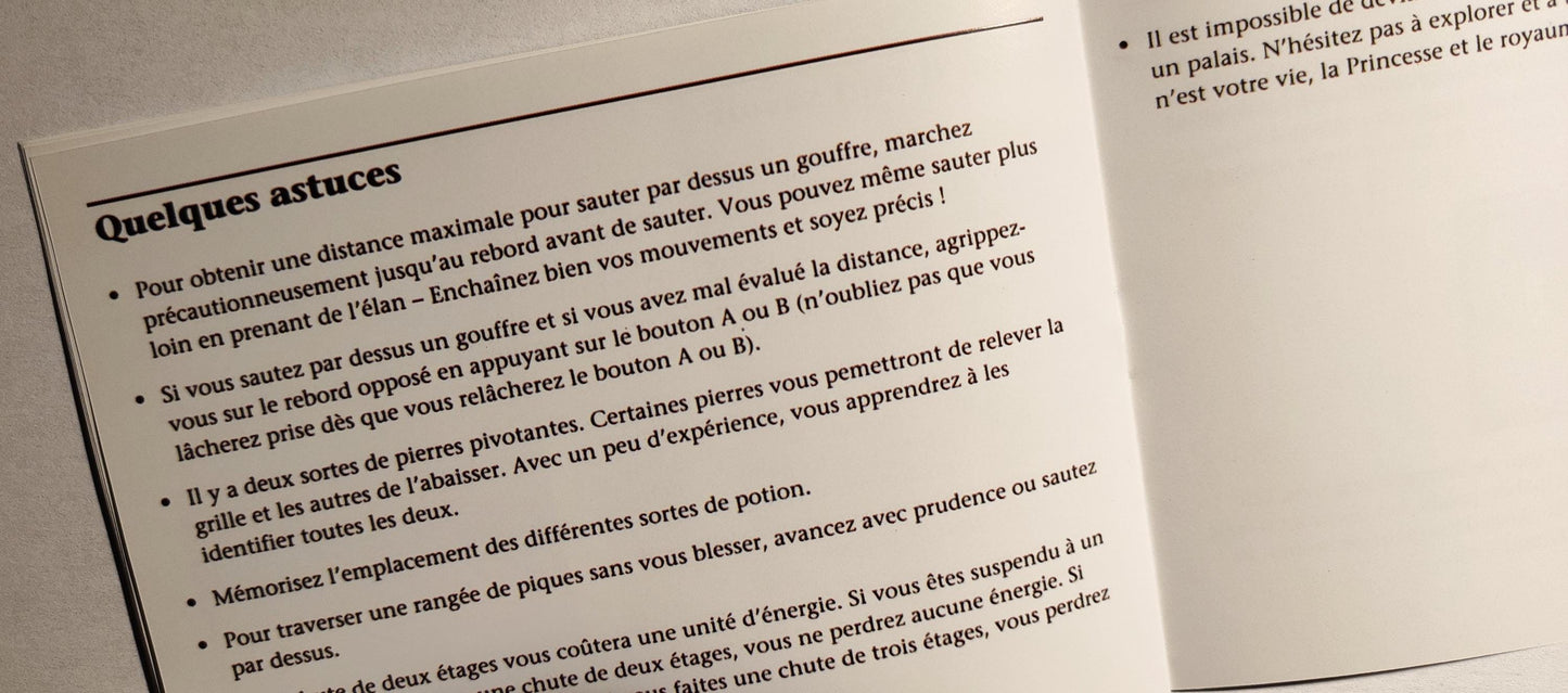 Notice Prince of Persia - NES - Français -
