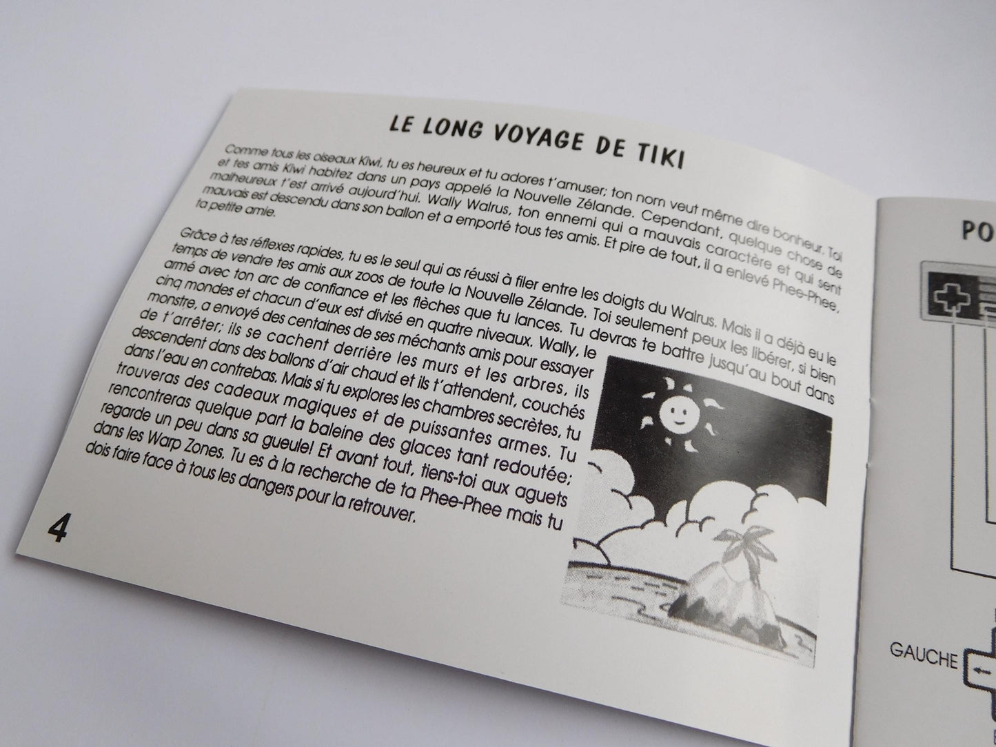 Notice The NewZealand Story NES - Français -