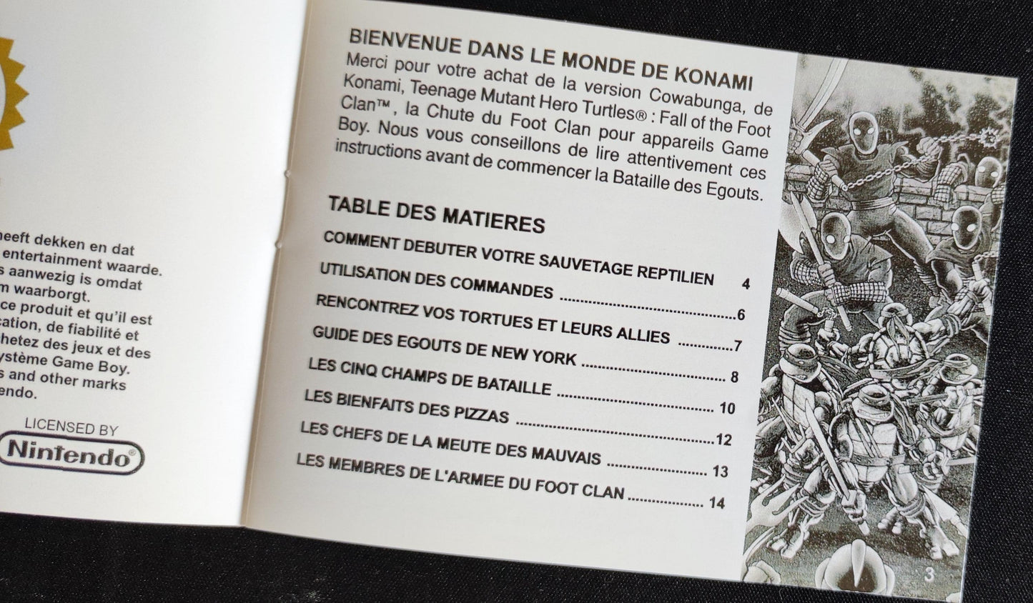 Notice Teenage Mutant Hero Turtles: Fall of the Foot Clan - Game Boy - Français -