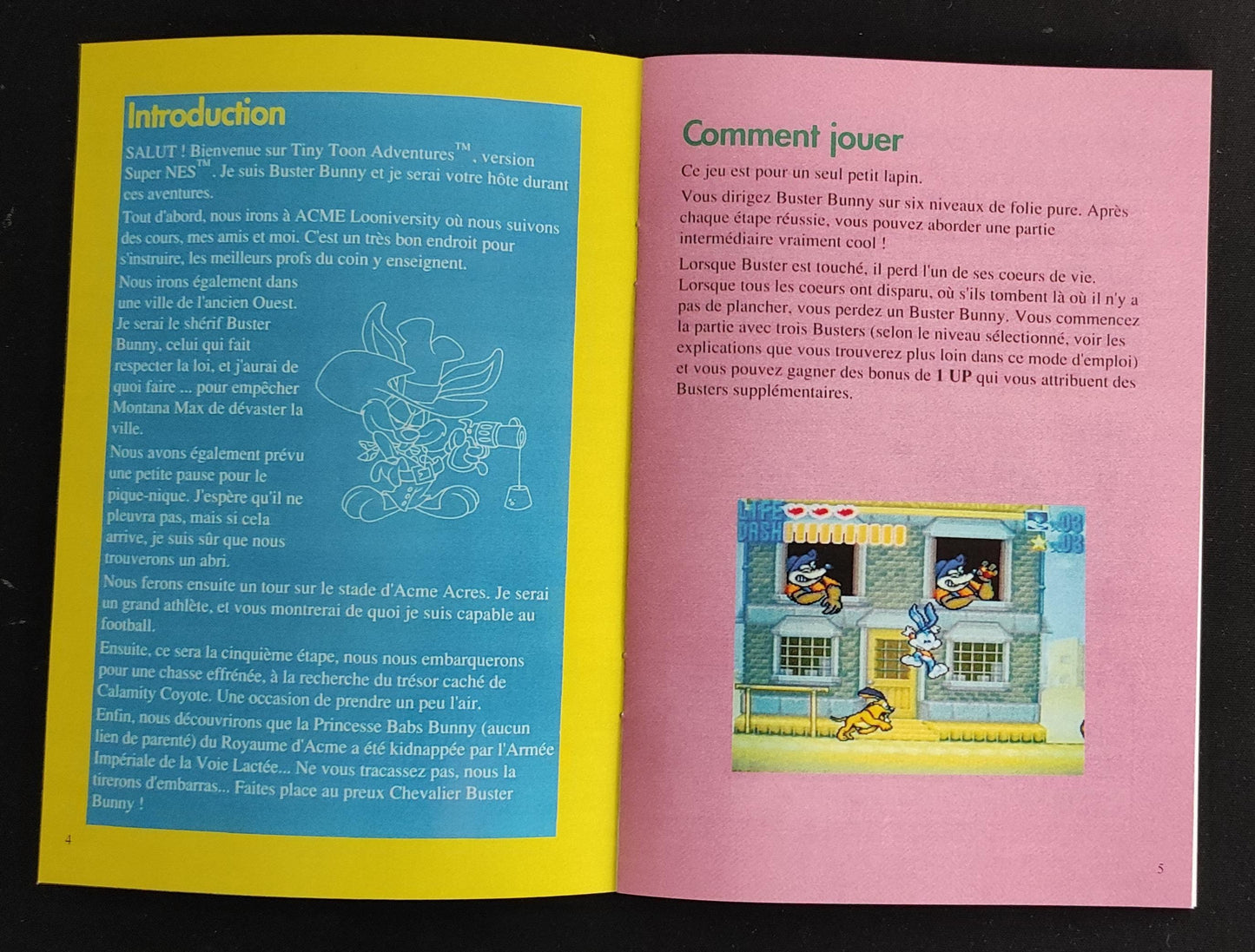 Notice Tiny Toon Adventures: Buster Busts Loose! - SNES - Français