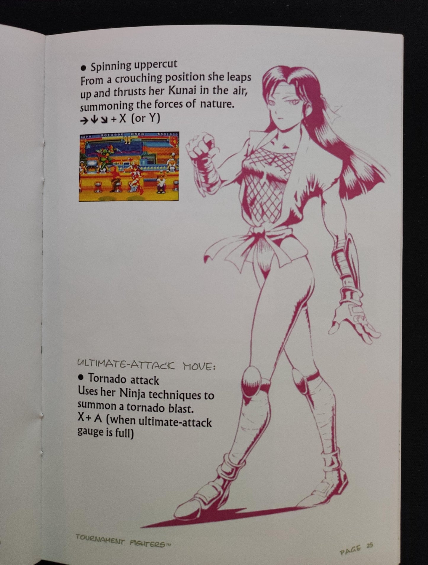 Notice Teenage Mutant Hero Turtles: Tournament Fighters SNES - Anglais -